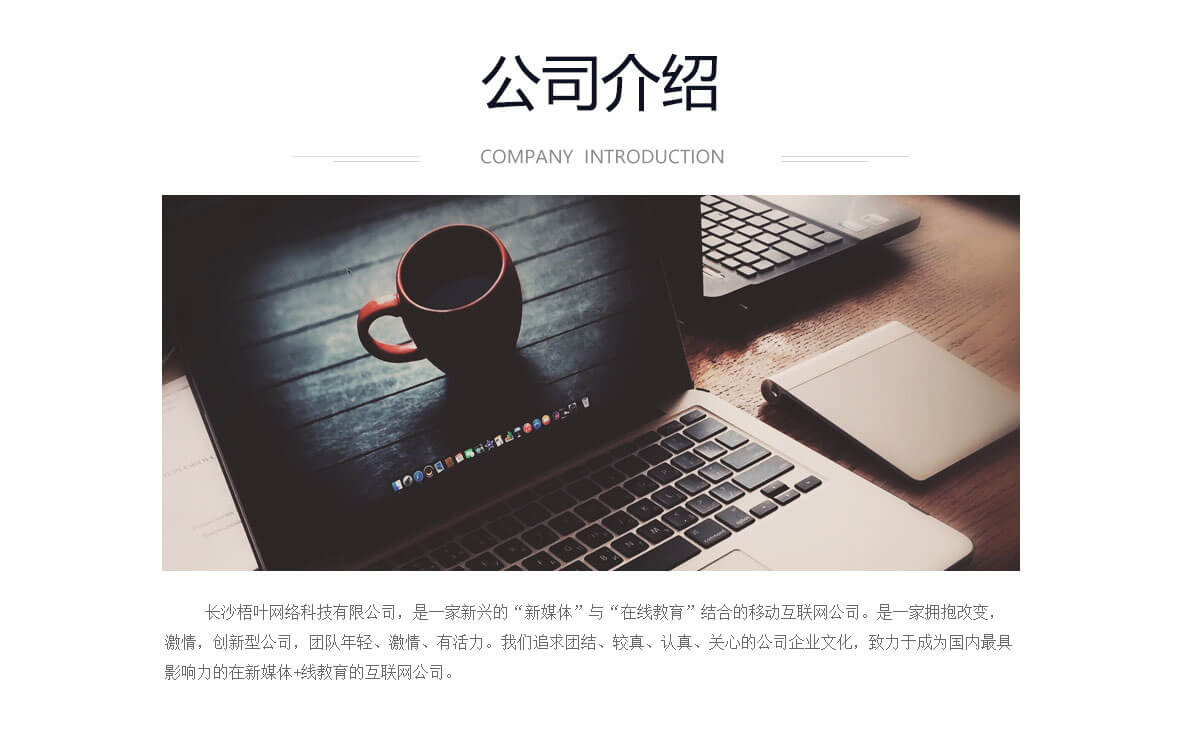 公司介绍